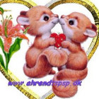 qq_回家丶不认路24