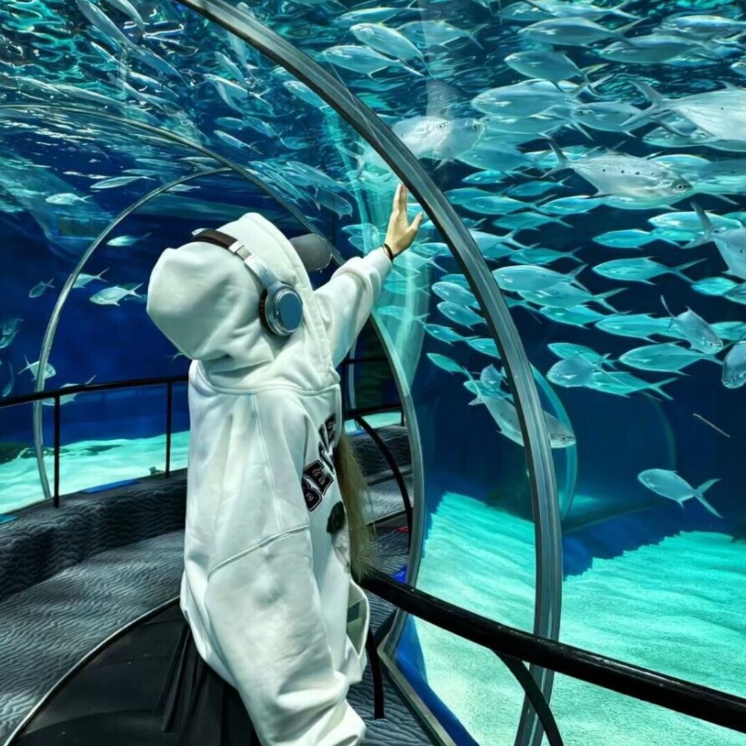 qq_ℳ̶̶̶̶♡̶҉ℳᥫᩣ81