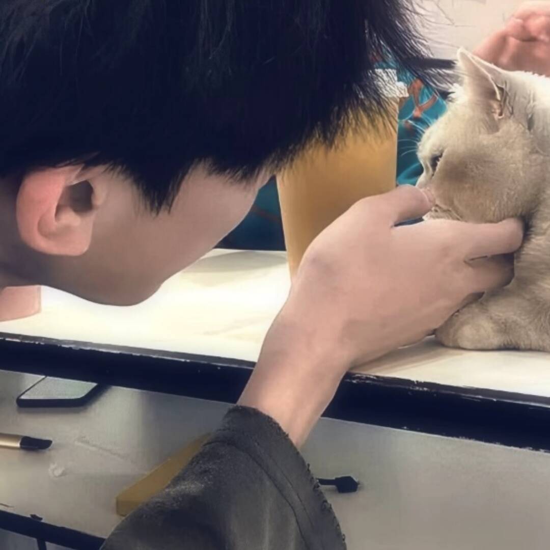 qq_无风不自由49