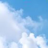 wind-【TITAIKE】T太科网