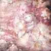 Kiyomi Ruo-【TITAIKE】T太科网