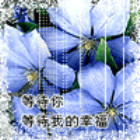 ﹏菰獨羡慕〆…