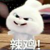 你是怎么了-【TITAIKE】T太科网