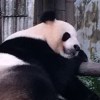 十二点六十