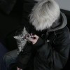 Aᴛ ʜᴇᴀʀᴛfivem资源网-fivem插件网-fivem脚本-fivem技术-fivem分享FIVEM资源网