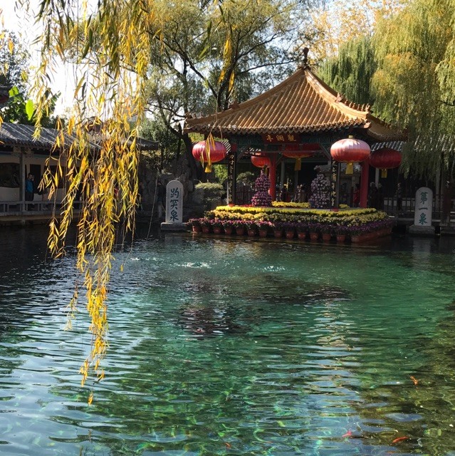 成通 鹿颖 13969138029