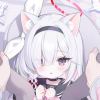 a705958543-【TITAIKE】T太科网