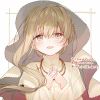 AnXi-【TITAIKE】T太科网
