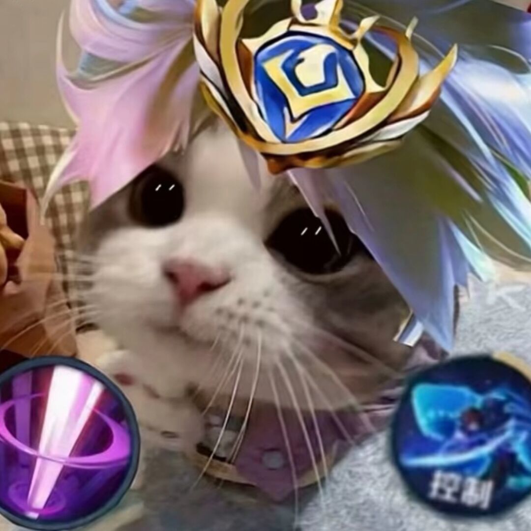 qq_語坠27