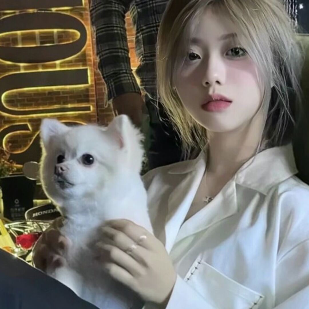 qq_可以加糖66