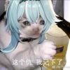 gyiixh1-【TITAIKE】T太科网