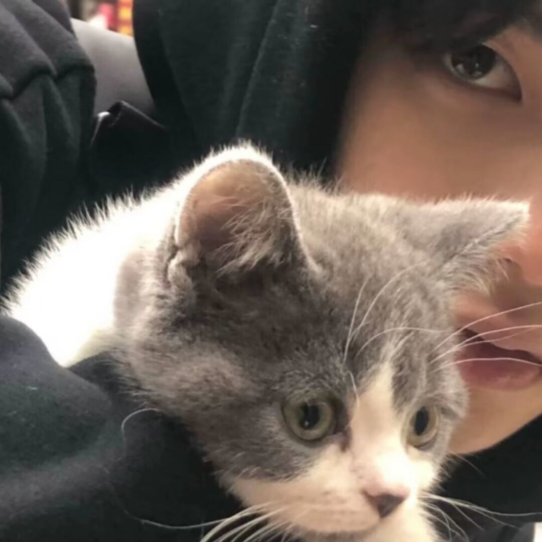 qq_虚伪者62