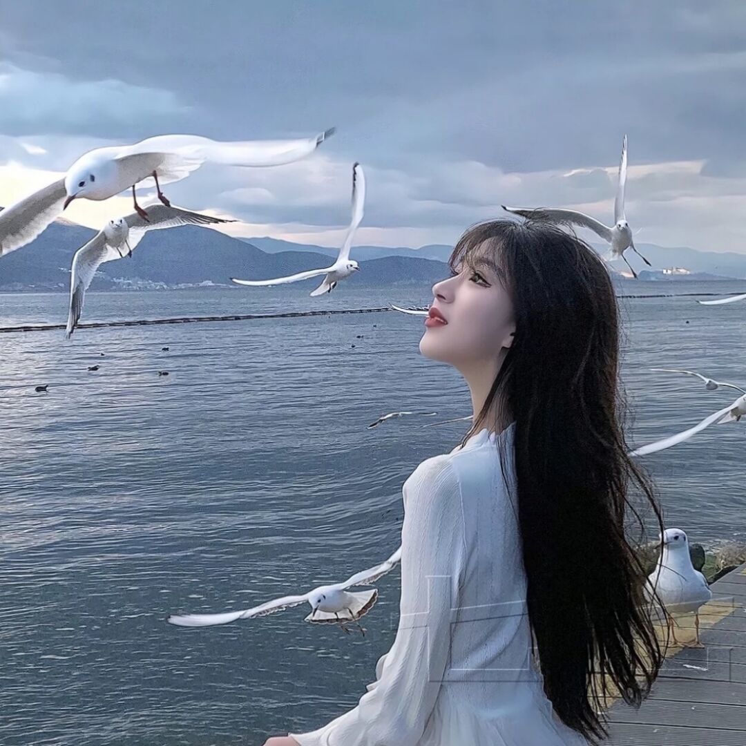qq_夜里没有流星22