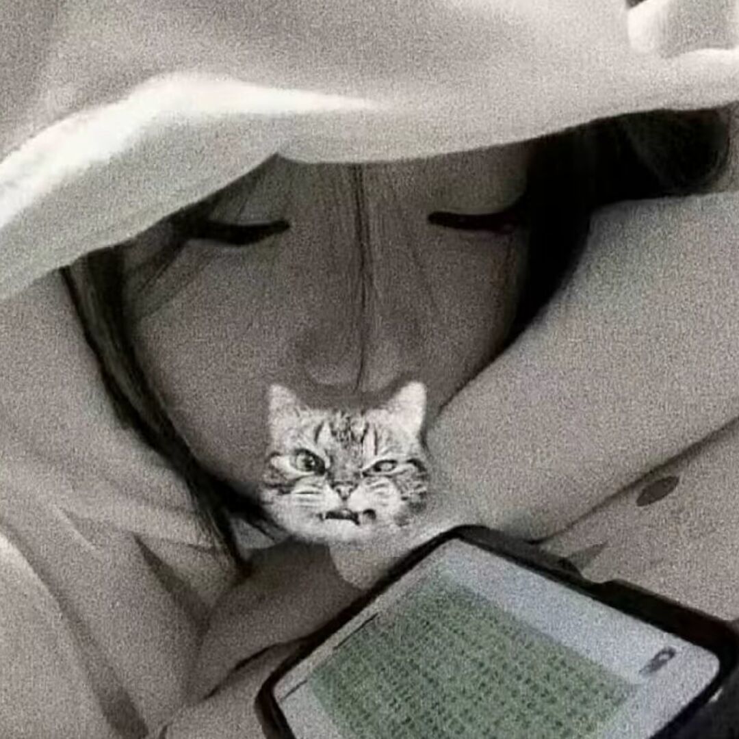 qq_诺87