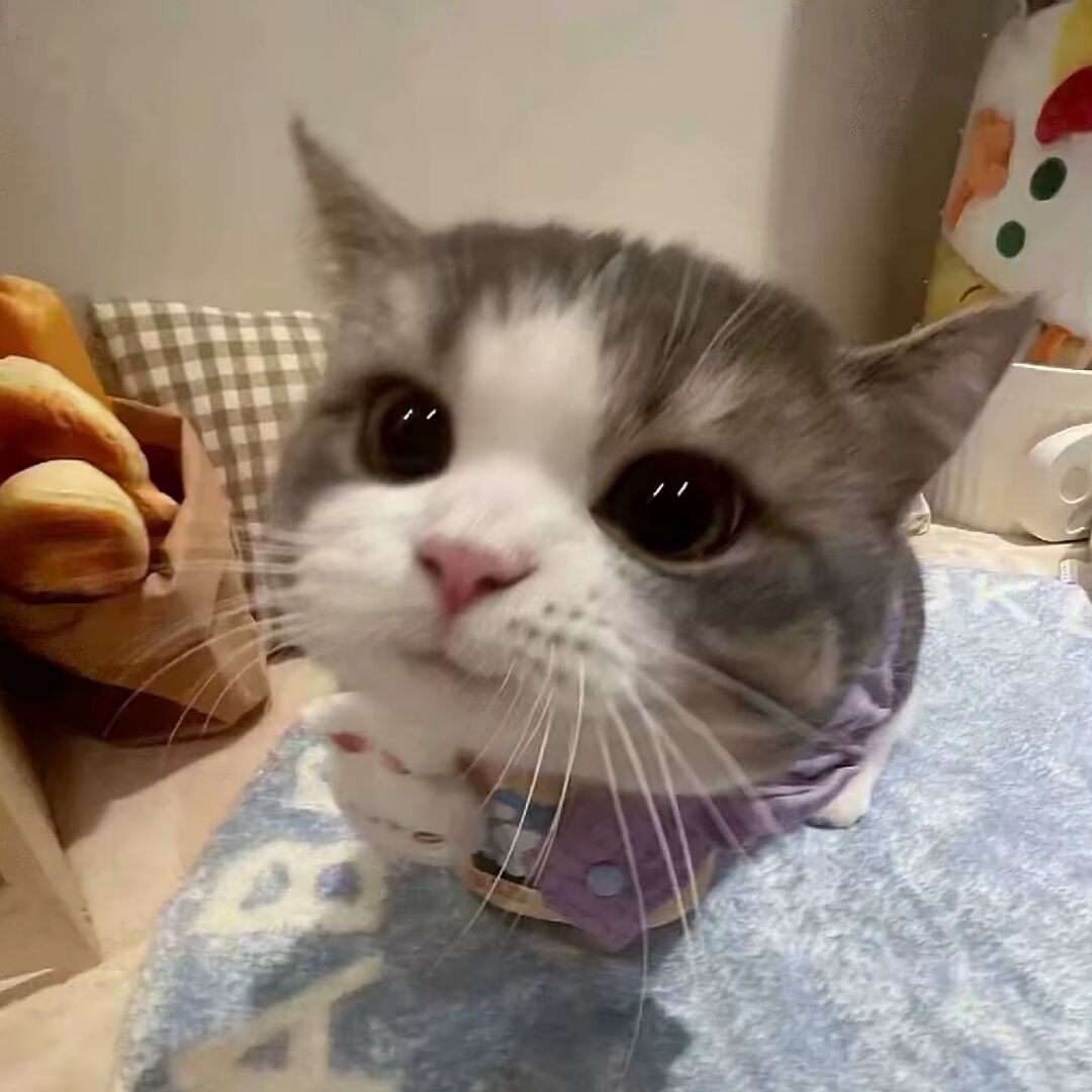 qq_.26
