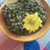 七小孙向进