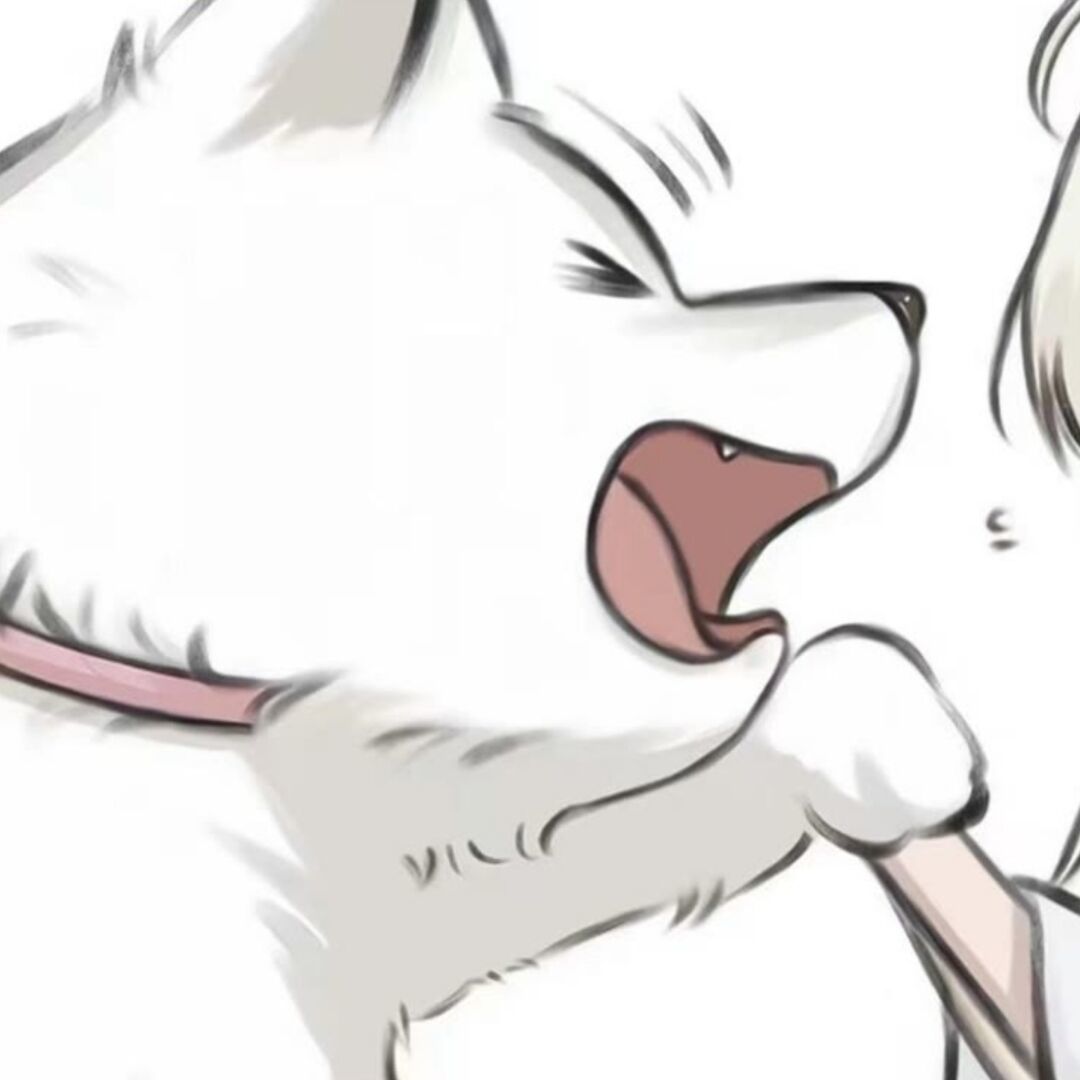 qq_十二83