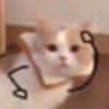 暖兮-【TITAIKE】T太科网