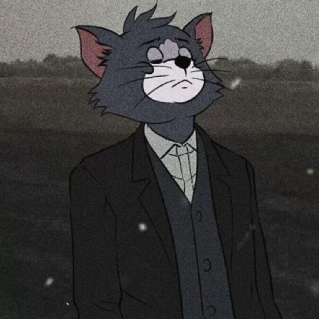qq_Z79