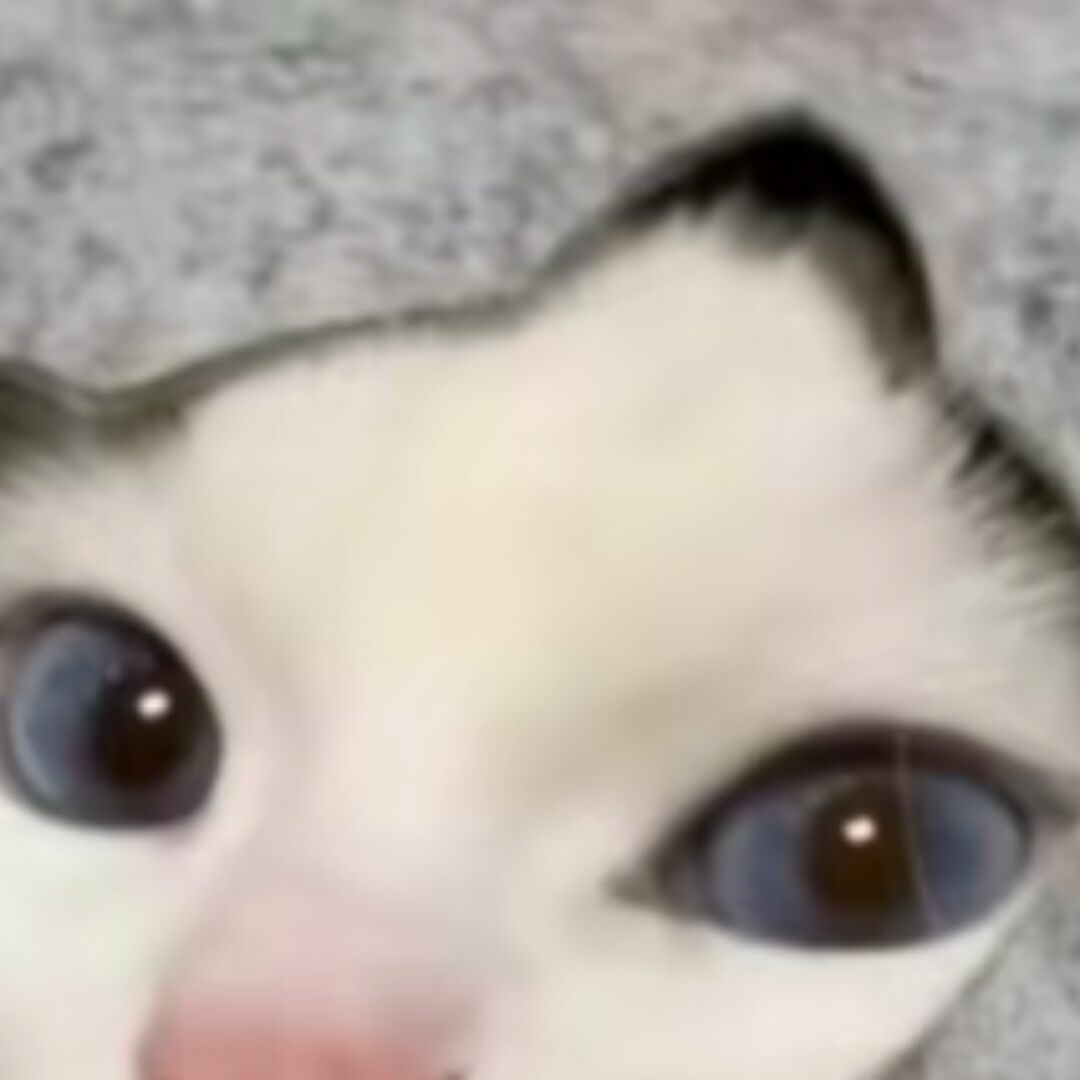 追梦人
