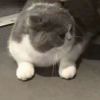 wcwcwcwqwqwq-【TITAIKE】T太科网