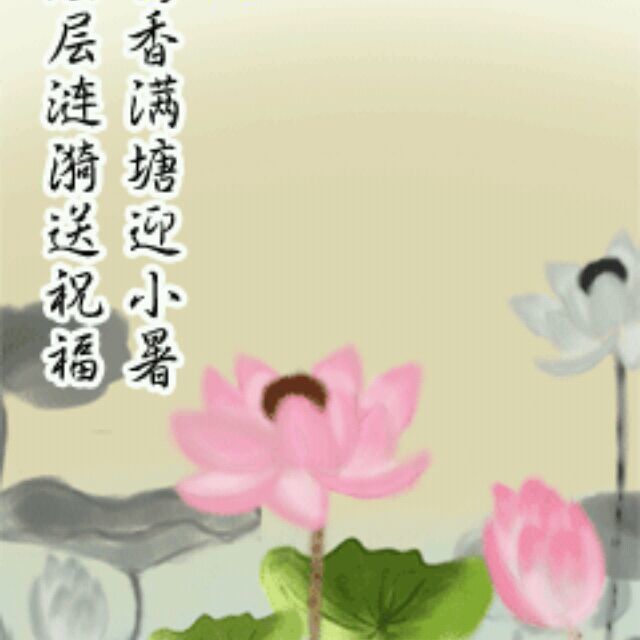qq_牡丹72