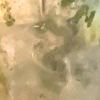 用户93983426-源创极客