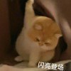 2233236078q - 极核GetShell