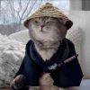 小荣哥-【TITAIKE】T太科网