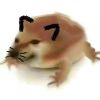 Toad_Cat-【TITAIKE】T太科网