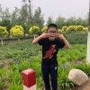 M202202202202-【TITAIKE】T太科网