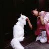 麻雀-【TITAIKE】T太科网