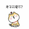 sherbet-【TITAIKE】T太科网