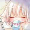 Pudding-【TITAIKE】T太科网