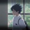 武齿鲨-【TITAIKE】T太科网