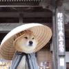 灵魂-【TITAIKE】T太科网