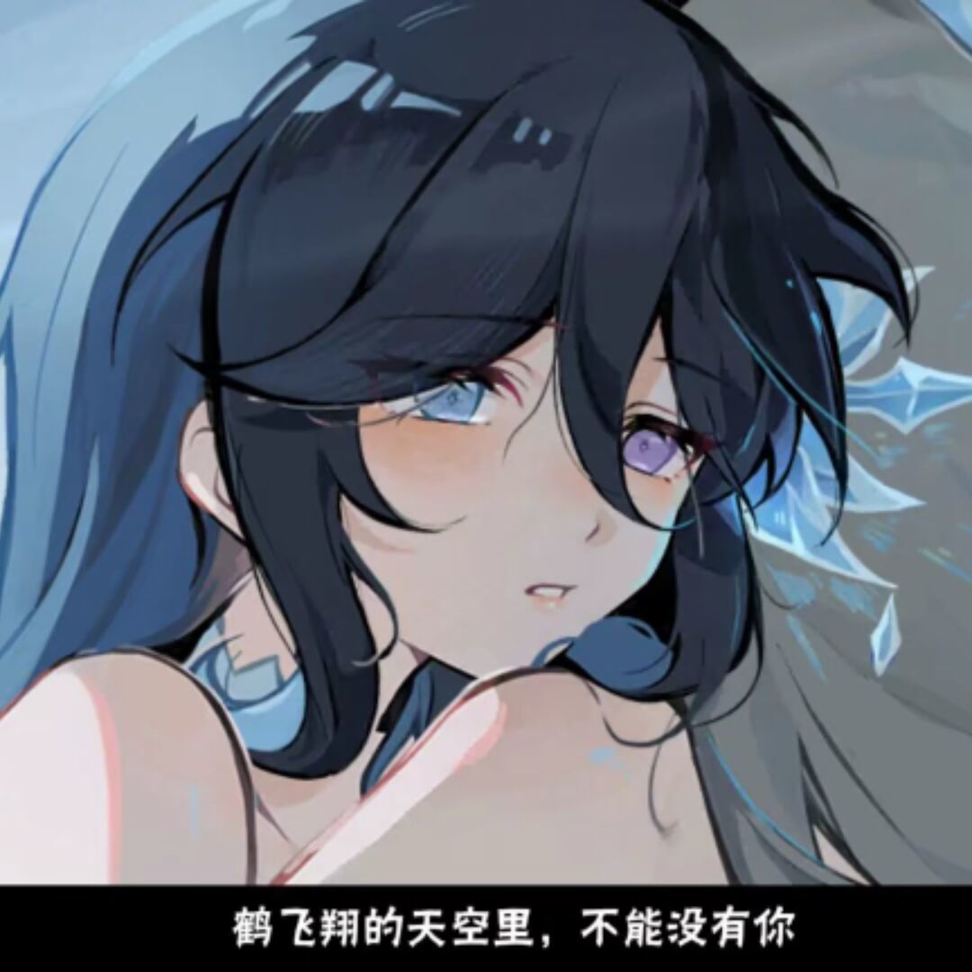 用户头像