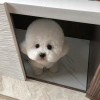 。