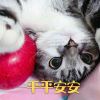 笨要有天赋-灵感屋