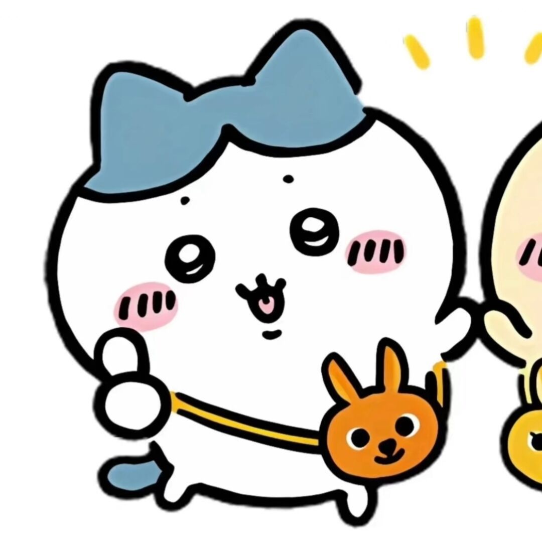 qq_･ᴗ･13