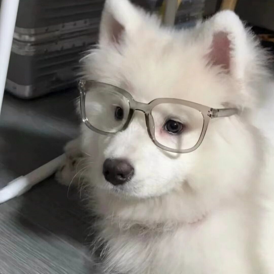 用户头像