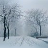 言晓-【TITAIKE】T太科网