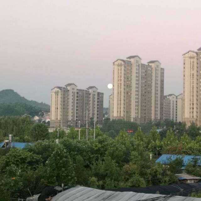 qq_风向决定发型d44