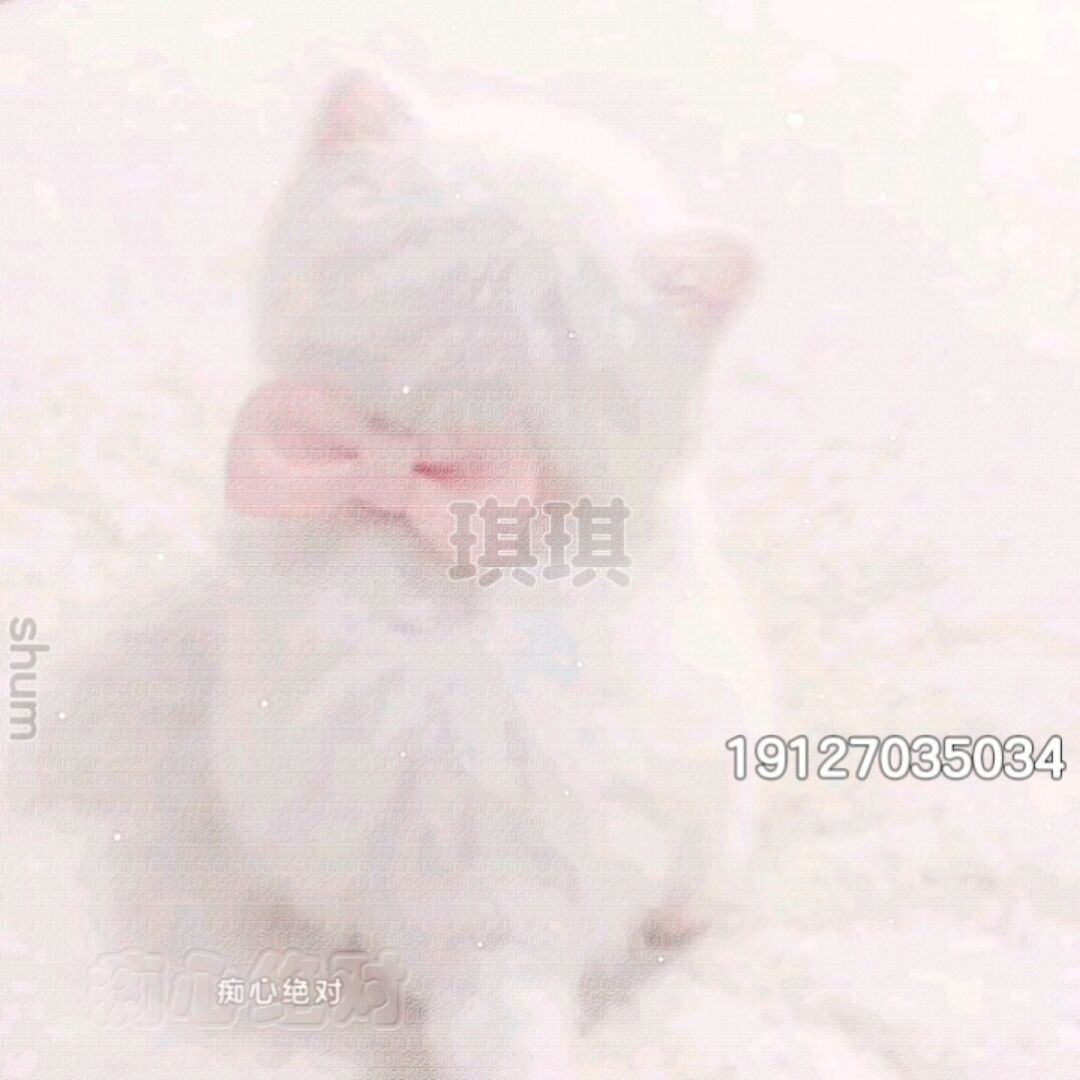 用户头像