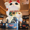 全能千金：团宠大佬又美又飒
