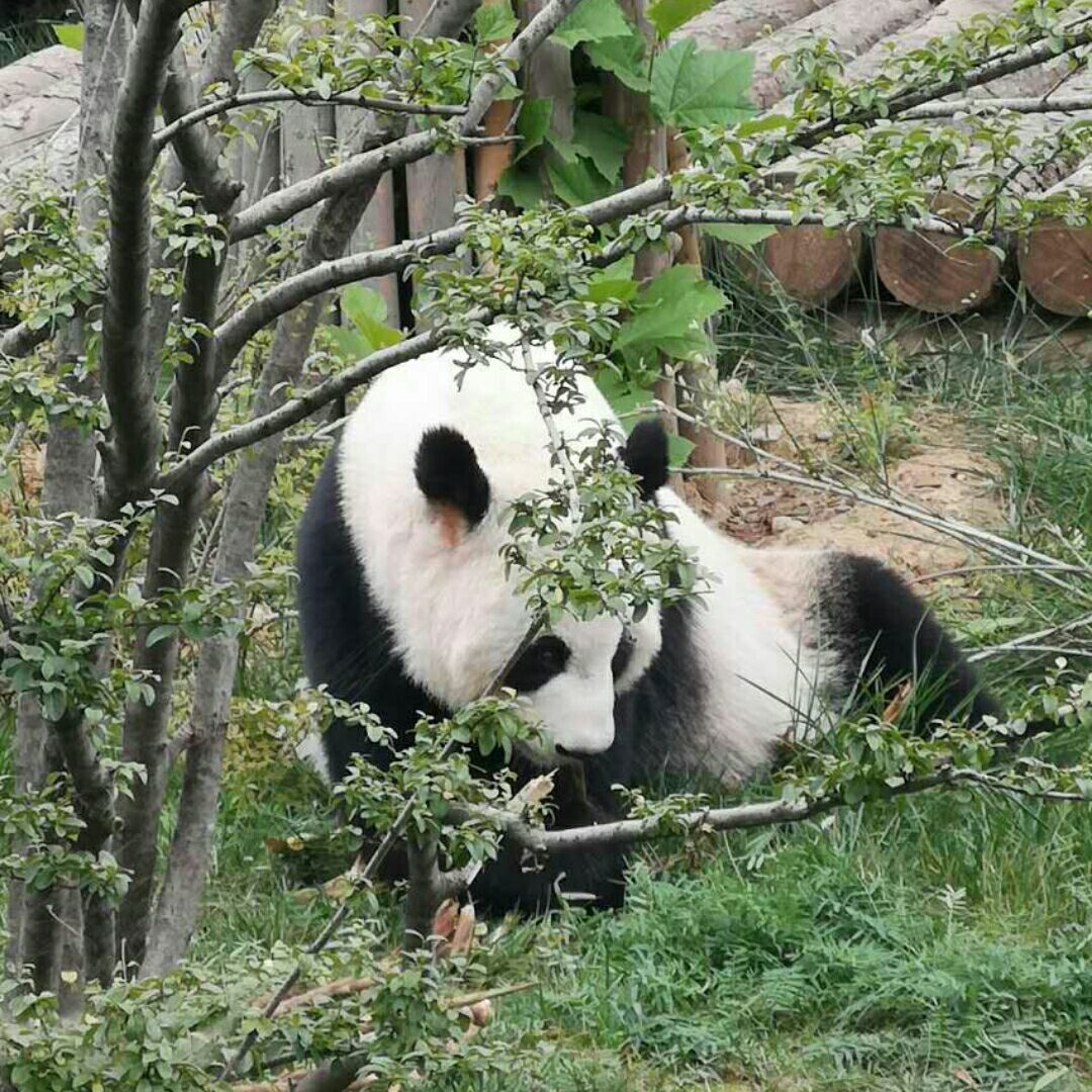 qq_孙泽涵奶奶（15288937795）84