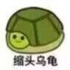 Nig_sky-【TITAIKE】T太科网