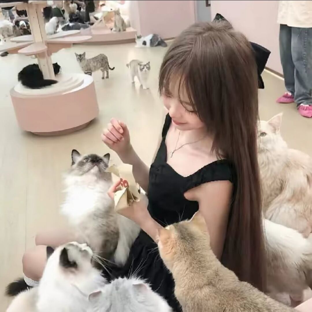 用户头像