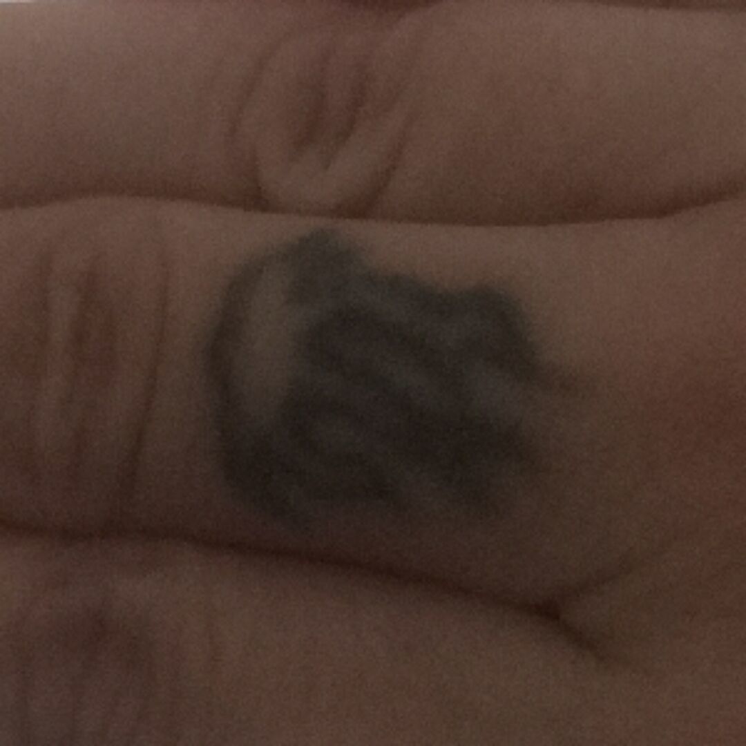 qq_123449
