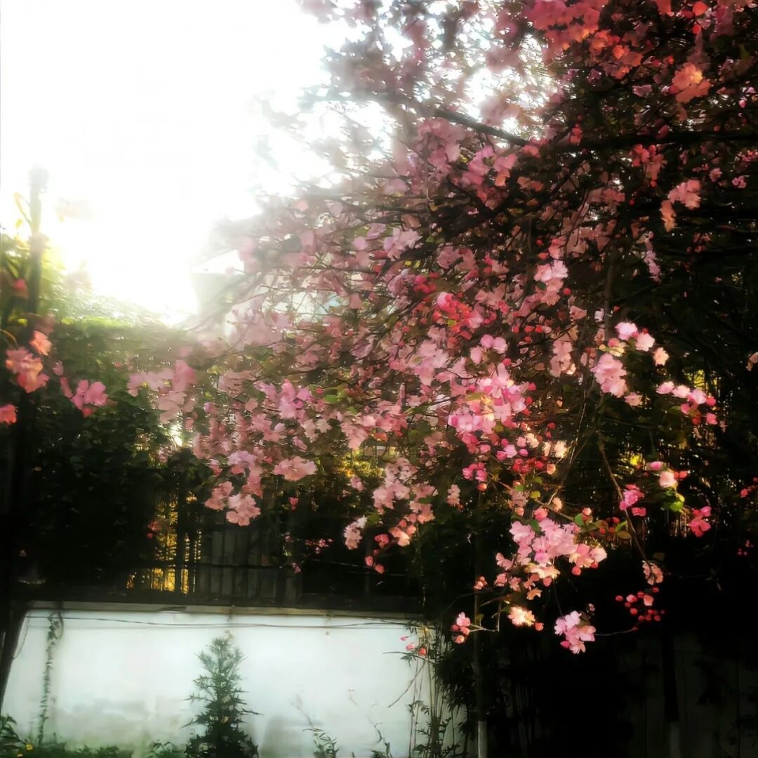 qq_又是艳阳天55